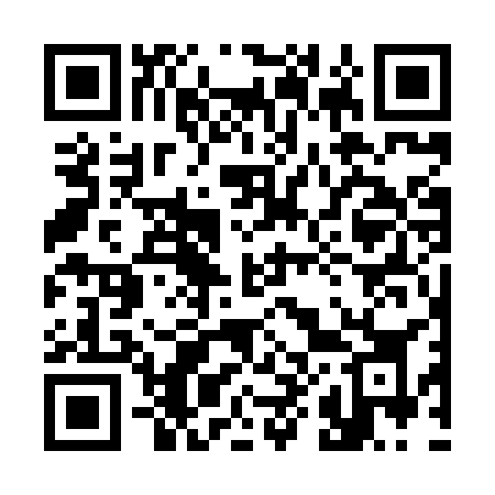 QR code for 3878SK