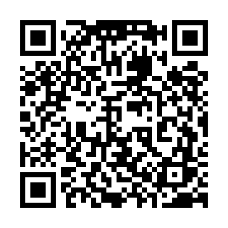 QR code for 387EFS
