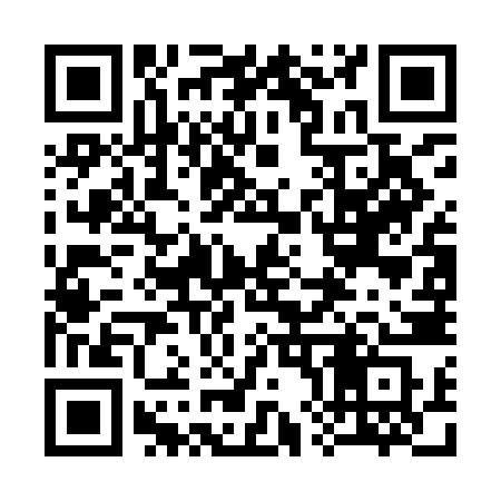 QR code for 387IJS