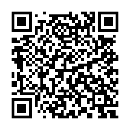 QR code for 387LTM