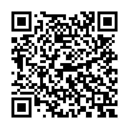 QR code for 387NPP