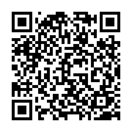QR code for 387SGT