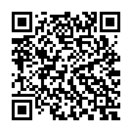 QR code for 387SPK
