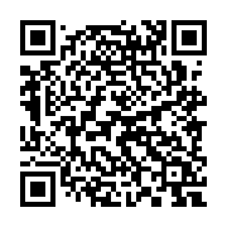 QR code for 3881HT