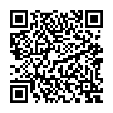 QR code for 3881IJV