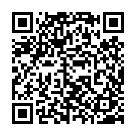 QR code for 388TZS