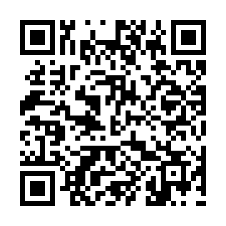 QR code for 3893HS