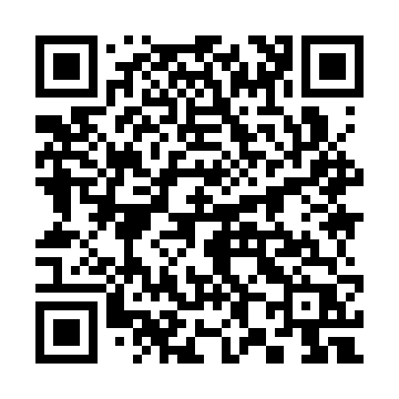 QR code for 3893VP