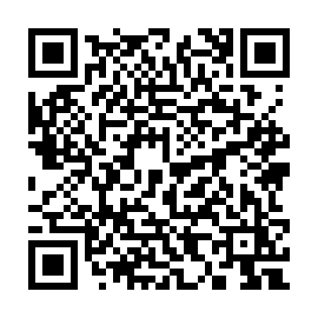 QR code for 3893ZZA