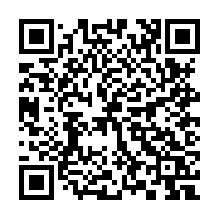 QR code for 390HZS