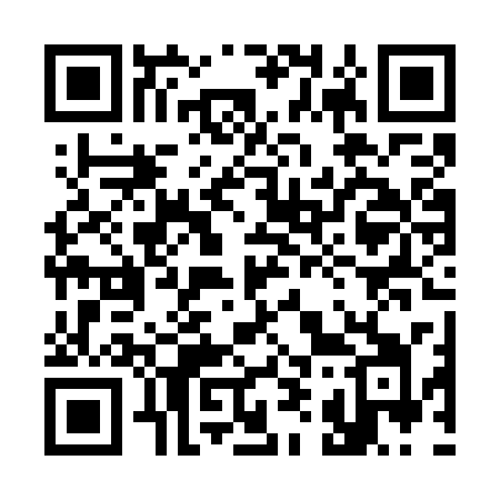 QR code for 390WSI