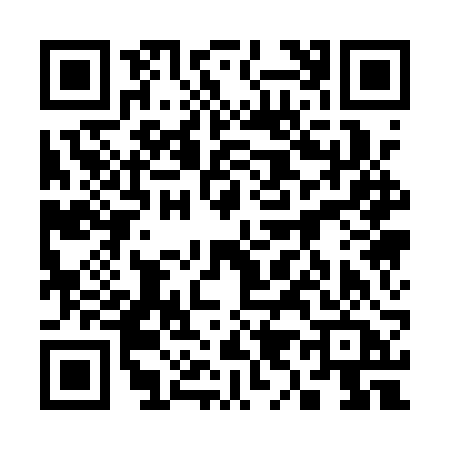 QR code for 3911RAO