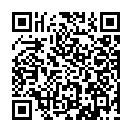 QR code for 3911SBP