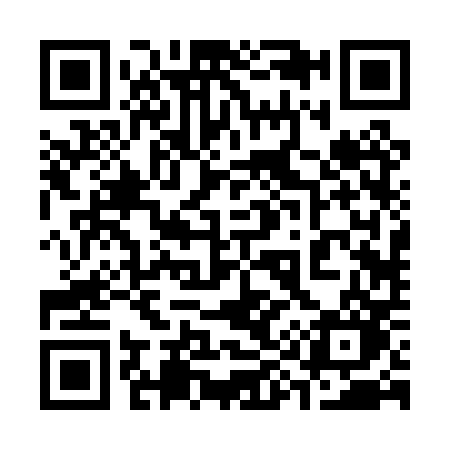 QR code for 3920PO