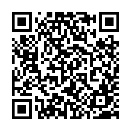 QR code for 3933IV