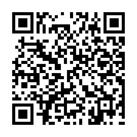 QR code for 393CSX