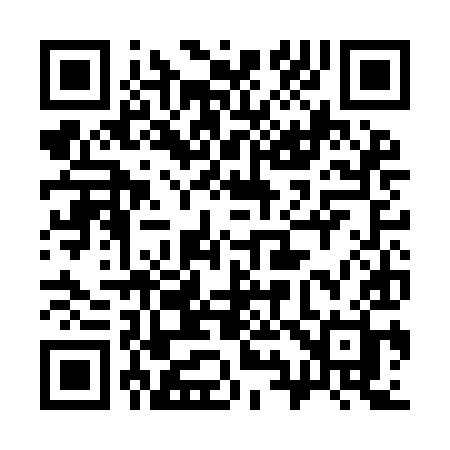 QR code for 393IIH