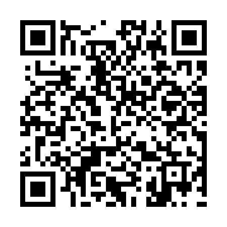 QR code for 393QIU