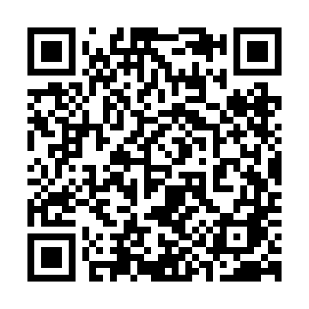 QR code for 393RDA