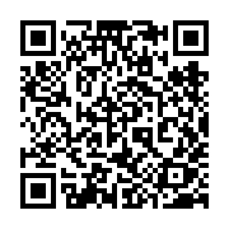 QR code for 393VHX