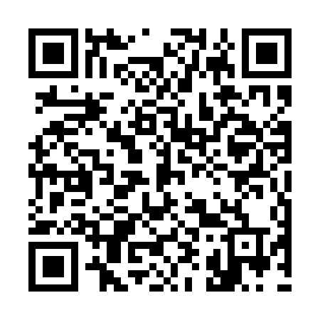 QR code for 3951DT