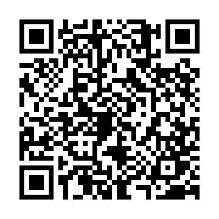 QR code for 3951DTI