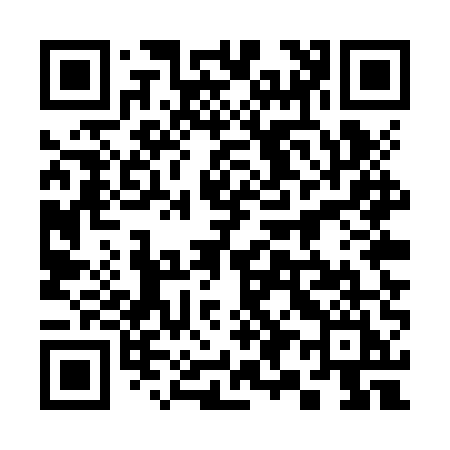 QR code for 395ZUI