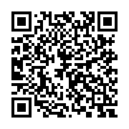 QR code for 397HEJ
