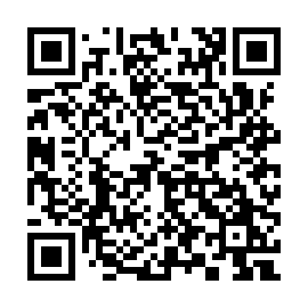 QR code for 397IPO