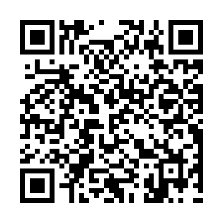 QR code for 397IRZ