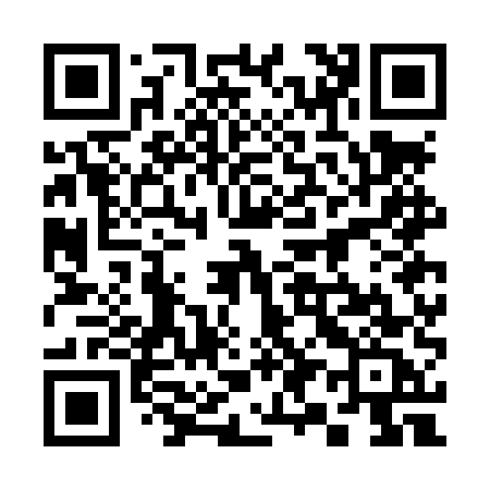 QR code for 397LUC
