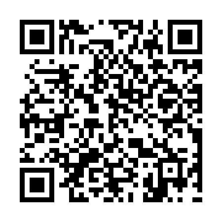QR code for 397YOR