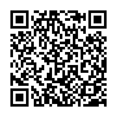 QR code for 398PPQ