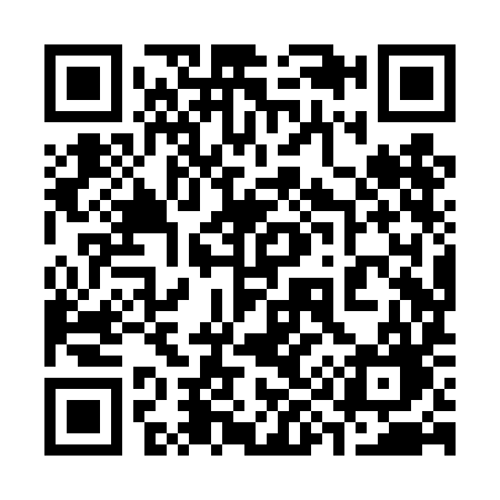 QR code for 398TIG