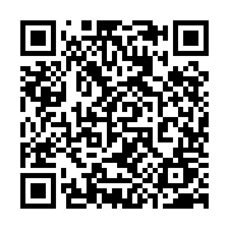 QR code for 3991OT