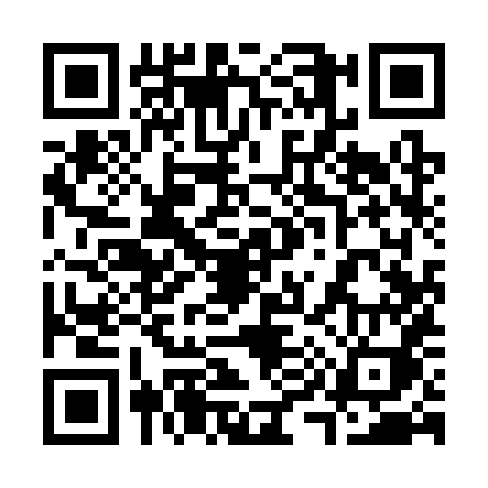 QR code for 3993XID