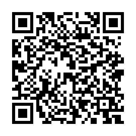 QR code for 3996MSA
