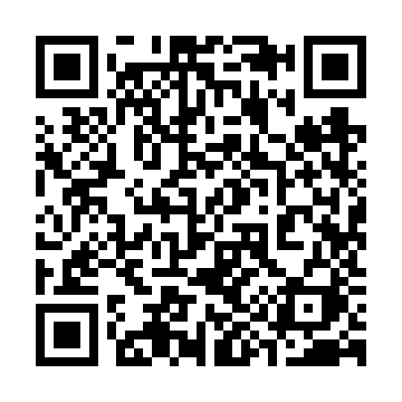 QR code for 3996ZI