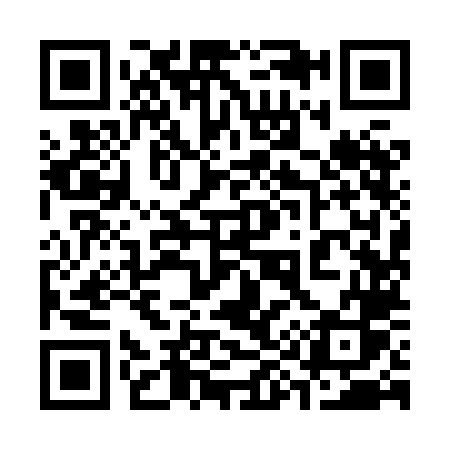 QR code for 3998LS