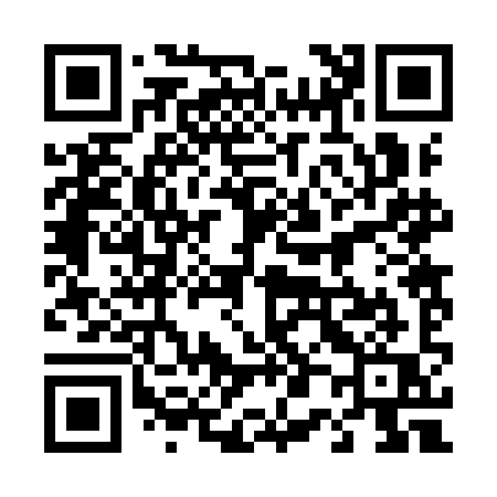 QR code for 4029IQ