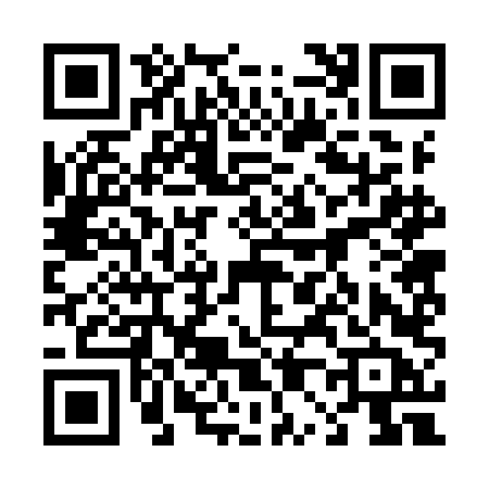 QR code for 4029LBL
