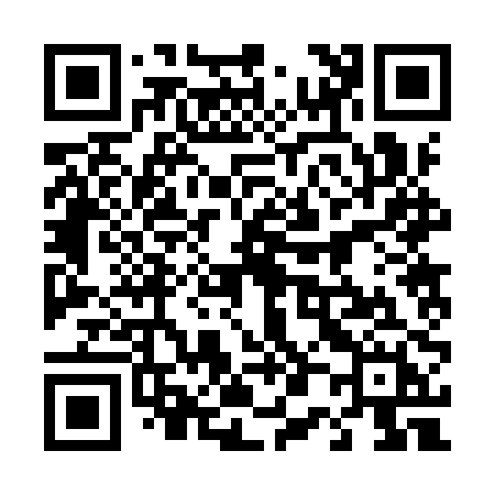 QR code for 4029PH