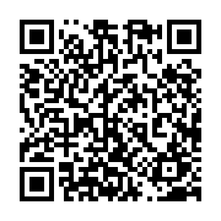 QR code for 4101BT