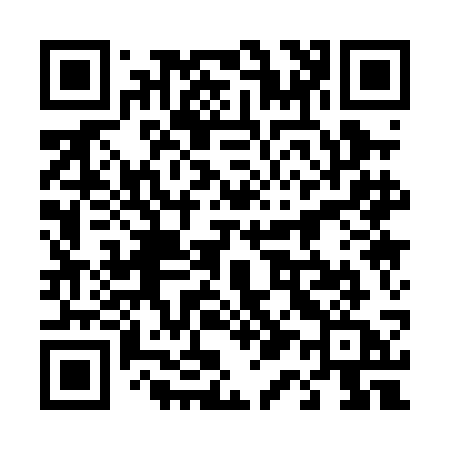 QR code for 4110CA