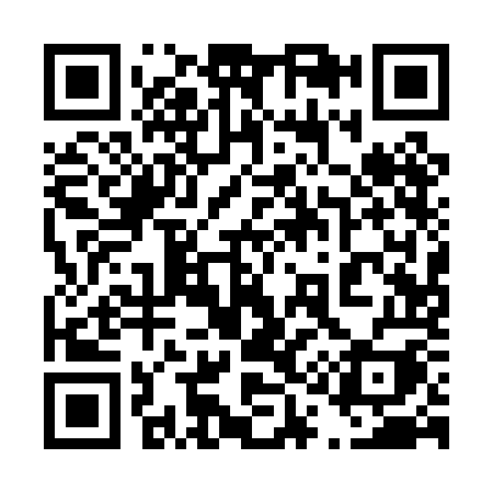 QR code for 4110OI
