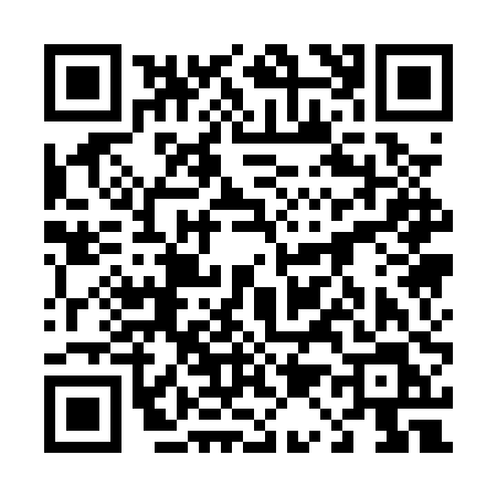 QR code for 4110PLI