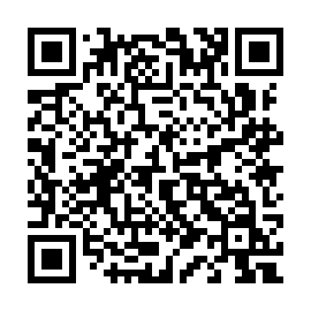 QR code for 4119KN