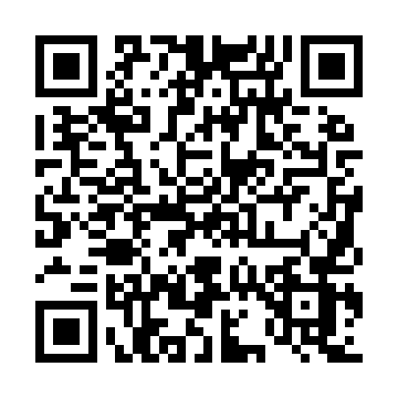 QR code for 4119UZD