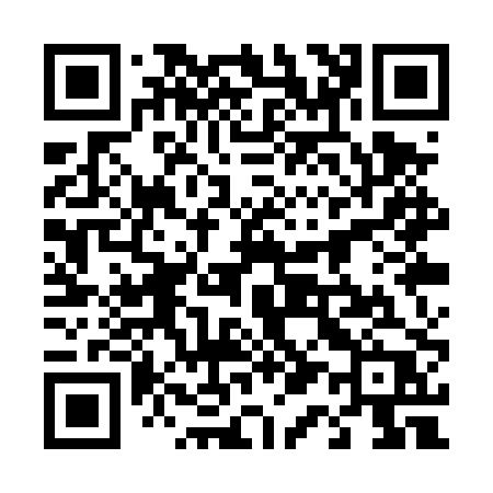 QR code for 411TPP