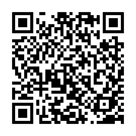 QR code for 4133PH